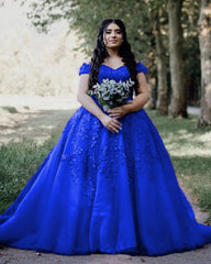 Ball Gown Princess Tulle Dresses Lace Appliques Off The Shoulder