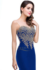 Trumpet/Mermaid Sleeveless Lace Applique Evening Dresses