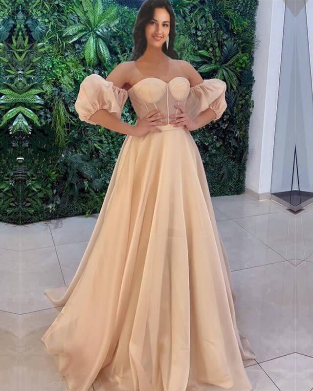 Champagne Tulle Puffy Sleeve Corset Dress - RongMoon