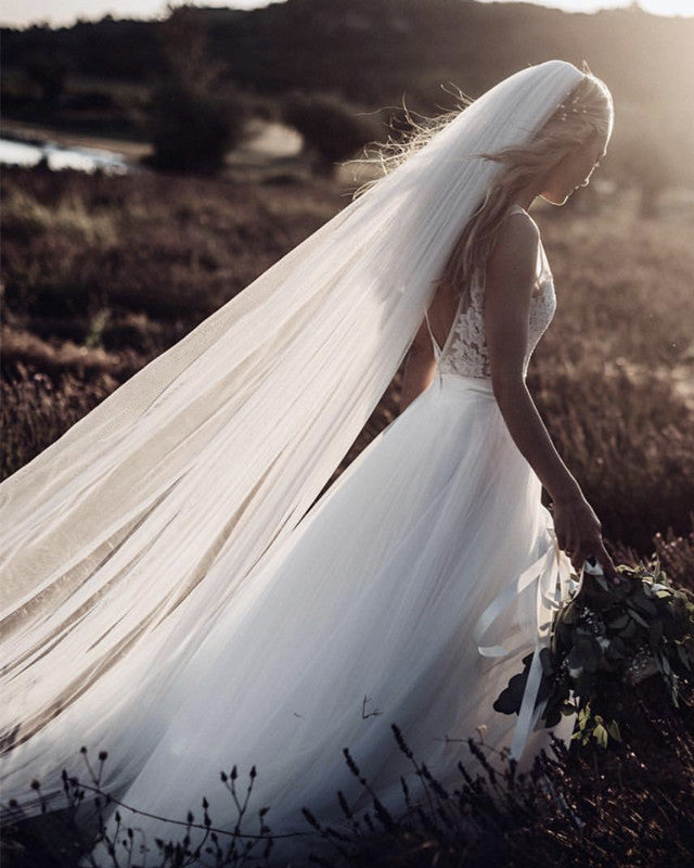 Tulle Beach Wedding Dresses V Neck Lace Appliques