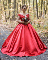 Satin V Neck Bal Gown Appliques Dresses Off Shoulder