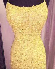 Backless Mermaid Lace Prom Dresses