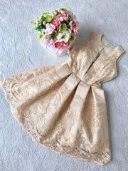 A-Line Lace Homecoming Dress    cg22986