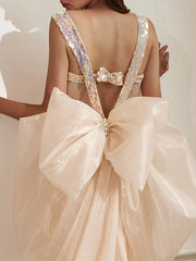 Trumpet Mermaid Sequin Prom Dress With Bowkno